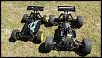 TRUGGY + BUGGY ROLLERS-trug.jpg