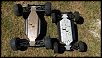 TRUGGY + BUGGY ROLLERS-trug2.jpg