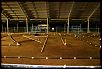 &quot;race for relief&quot; march 5-6 toowoomba indoor 1/8 nitro offroad-toowoomba-005.jpg