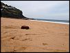 Northern Beaches...Beach Racing-img_0851.jpg