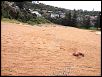 Northern Beaches...Beach Racing-img_1069.jpg