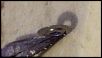 Tekno NB48-1402009341757.jpg