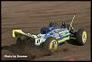 PICS OF YOUR RC NITRO OFF-ROAD CARS-1320148133_bb9efc94a6.jpg
