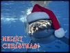 Radio Control Hobbies &amp; Raceway - Waterbury, CT.-image.jpg