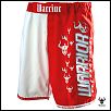 Warrior MMA Fight/Board Shorts and Jerseys-warrior_internat_4bb21ba741c75.jpg