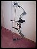 Compound Bow FS\FT-martin%2520bow.jpg