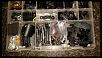 Serpent SRX2 Rear Motor Buggy with LOTS of parts for sale.-20140518_230611.jpg