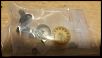 Brand new ball diff b5m.t5m .sc5m-1471226717205-1258617495.jpg