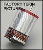 Tekin Redline 10.5 Sensored motor-tekin.jpg