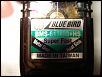 NEW Bluebird 617MG Servo  Shipped-dsc06350.jpg