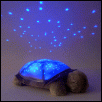 Non RC Related Stuffs on Sale-turtle%25201.gif