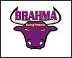 Brahma Racing Products-bullhead-copy.jpg