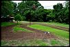 Post pics or videos of your backyard track-dsc_0336.jpg