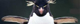 SPenguin's Avatar