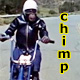 Bikerchimp's Avatar