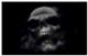 NesOne's Avatar