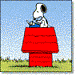 snoopy's Avatar