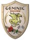 Gemnic's Avatar