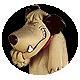 Muttley's Avatar