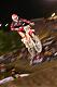 jeff alessi