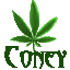 Coney's Avatar